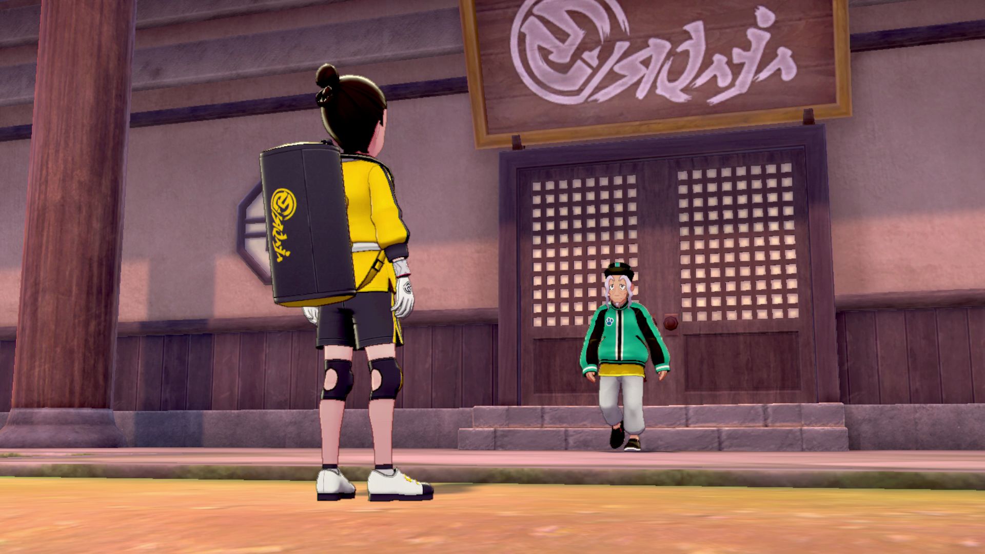 Pokemon Sword and Shield Isle of Armor Dojo